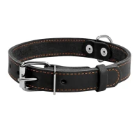 CoLLaR нашийник одинарний шкіряний чорний 25 мм 38–50 см 02191