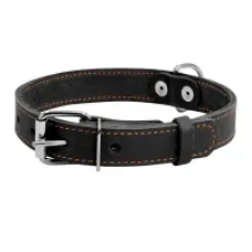 CoLLaR нашийник одинарний шкіряний чорний 25 мм 38–50 см 02191