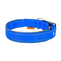 CoLLaR Dog Extreme нашийник нейлоновий зі світловідбивною вставкою блакитний 25 мм 38–48 см 67042