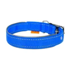 CoLLaR Dog Extreme нашийник нейлоновий зі світловідбивною вставкою блакитний 25 мм 38–48 см 67042