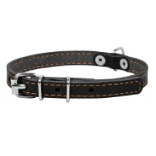 CoLLaR нашийник одинарний шкіряний чорний 20 мм 32–40 см 01331