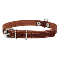 CoLLaR нашийник одинарний шкіряний коричневий 20 мм 32–40 см 01336