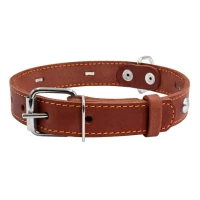 CoLLaR нашийник одинарний з прикрасами коричневий 20 мм 32–40 см 01356