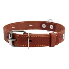 CoLLaR нашийник одинарний з прикрасами коричневий 20 мм 32–40 см 01356