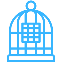 Клітки